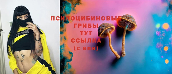кокс Каменногорск