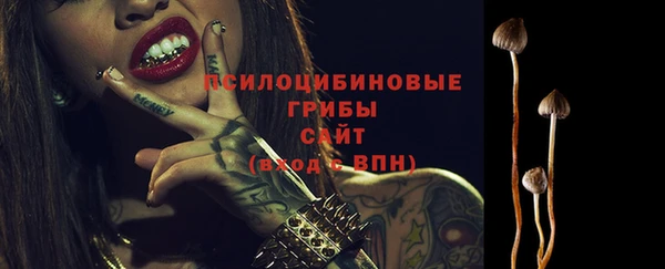 кокс Каменногорск