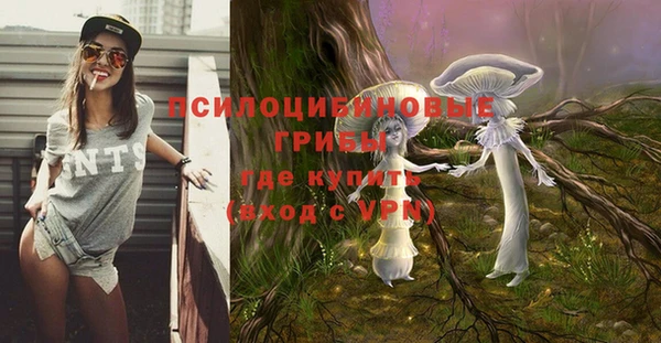 кокс Каменногорск