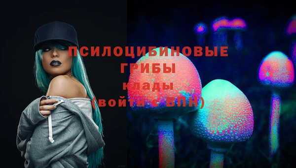 прущая мука Каменск-Шахтинский