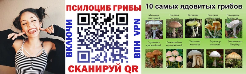 Псилоцибиновые грибы мицелий Купить Емва